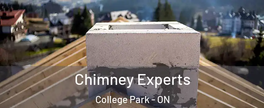  Chimney Experts College Park - ON