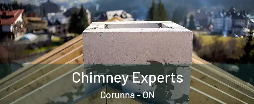  Chimney Experts Corunna - ON
