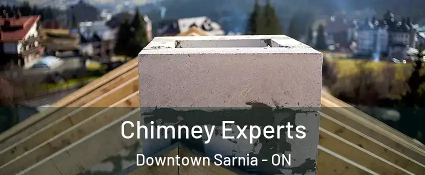  Chimney Experts Downtown Sarnia - ON