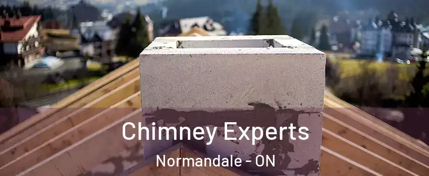  Chimney Experts Normandale - ON