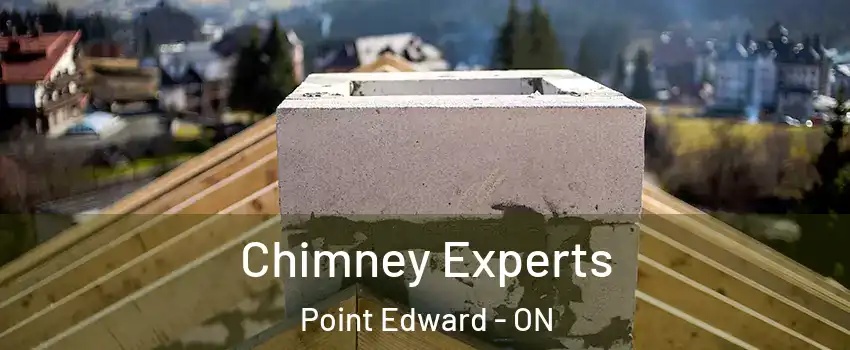  Chimney Experts Point Edward - ON
