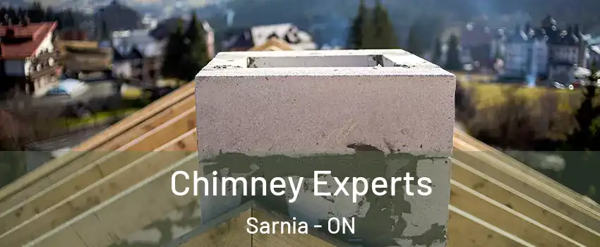  Chimney Experts Sarnia - ON