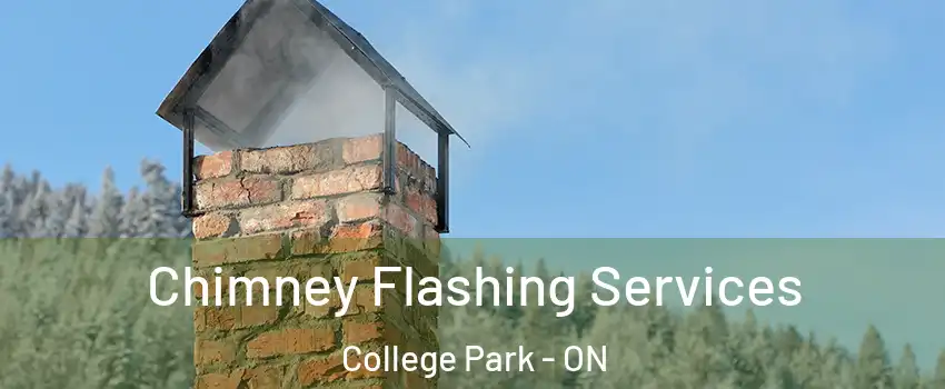  Chimney Flashing Services College Park - ON