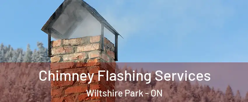  Chimney Flashing Services Wiltshire Park - ON