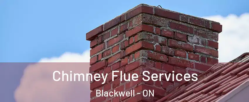  Chimney Flue Services Blackwell - ON