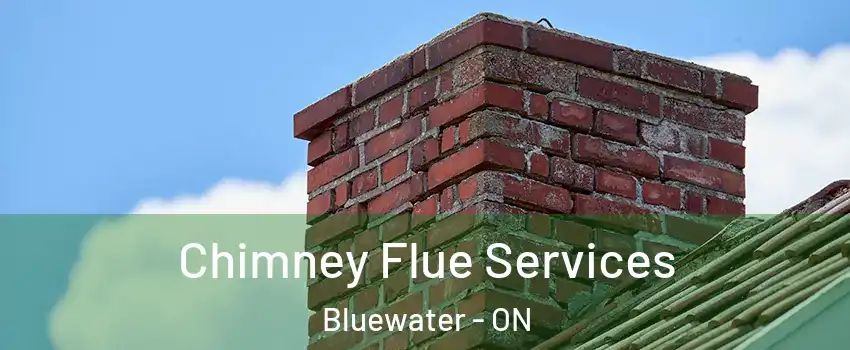  Chimney Flue Services Bluewater - ON
