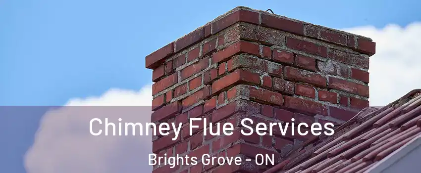  Chimney Flue Services Brights Grove - ON