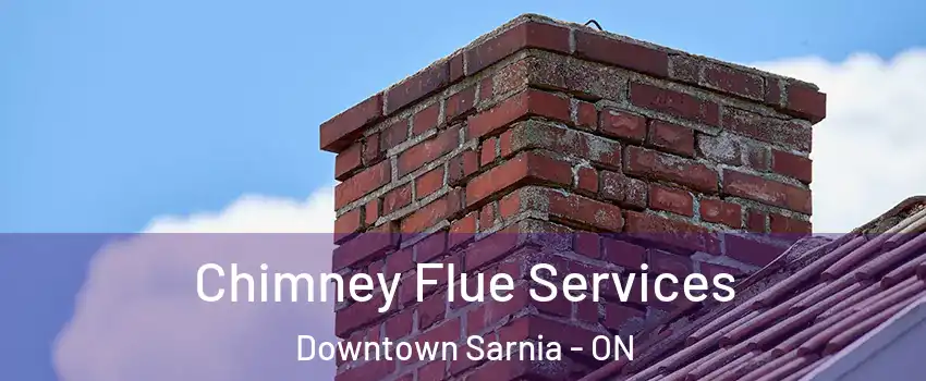  Chimney Flue Services Downtown Sarnia - ON