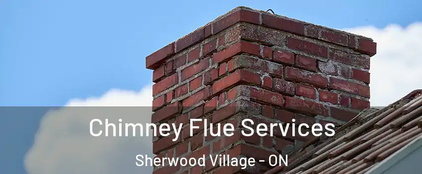  Chimney Flue Services Sherwood Village - ON