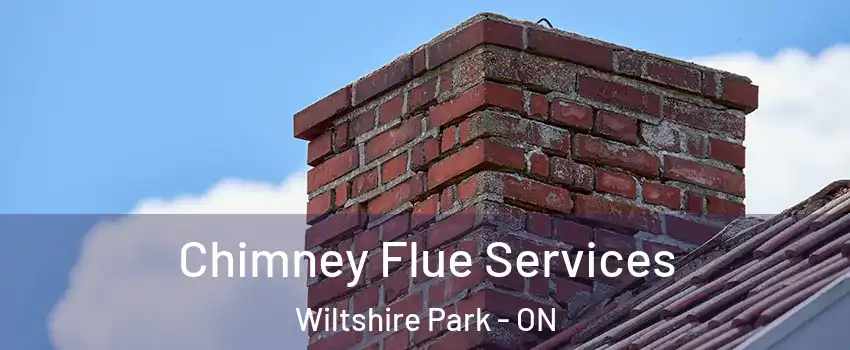  Chimney Flue Services Wiltshire Park - ON