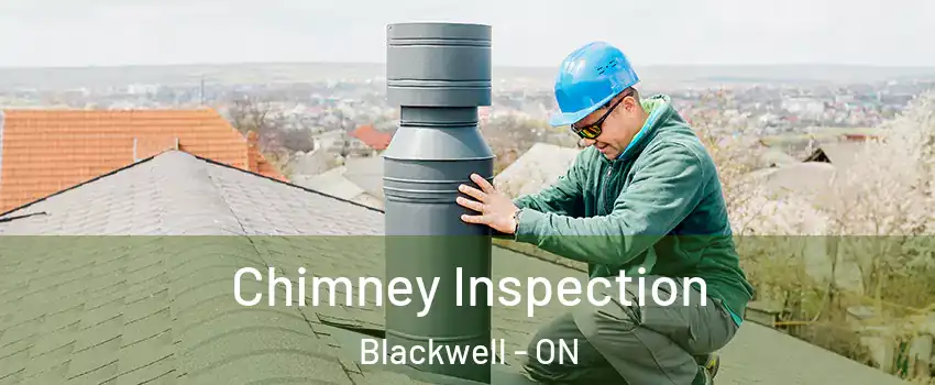  Chimney Inspection Blackwell - ON