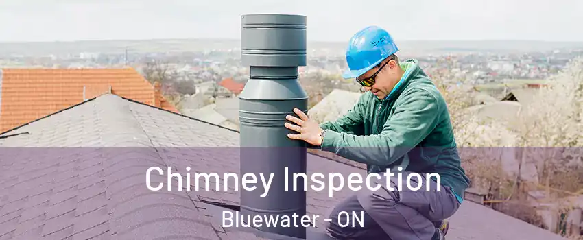  Chimney Inspection Bluewater - ON