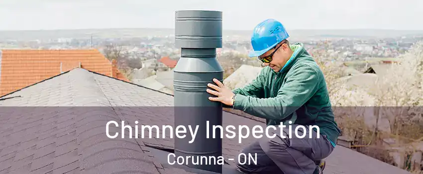  Chimney Inspection Corunna - ON