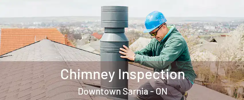  Chimney Inspection Downtown Sarnia - ON