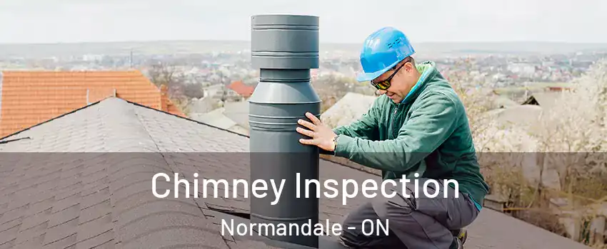  Chimney Inspection Normandale - ON