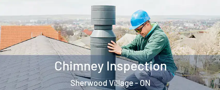  Chimney Inspection Sherwood Village - ON