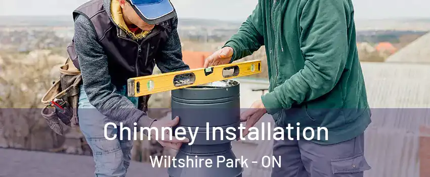  Chimney Installation Wiltshire Park - ON