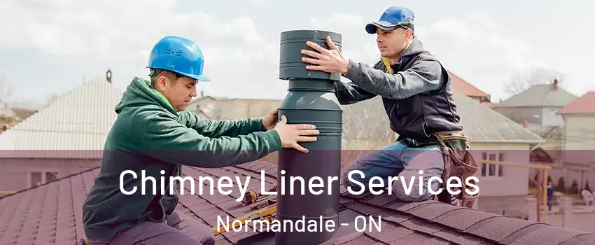  Chimney Liner Services Normandale - ON