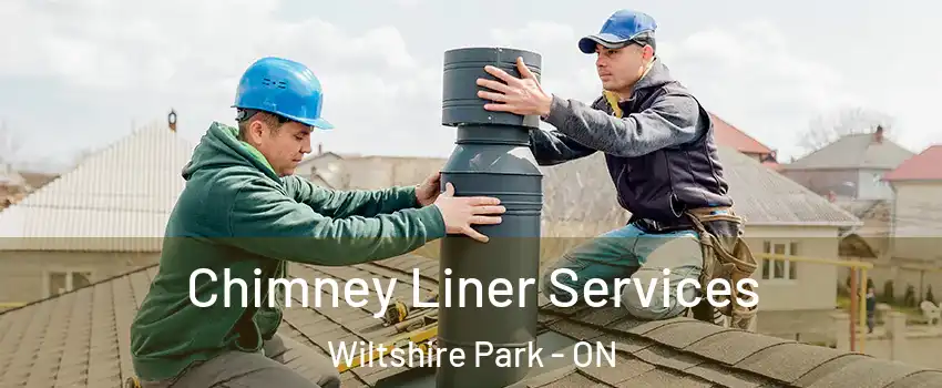  Chimney Liner Services Wiltshire Park - ON