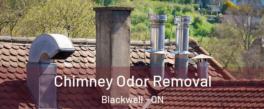  Chimney Odor Removal Blackwell - ON