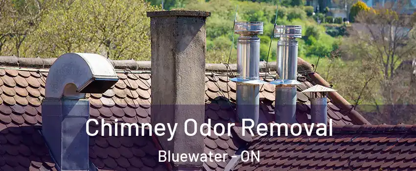  Chimney Odor Removal Bluewater - ON