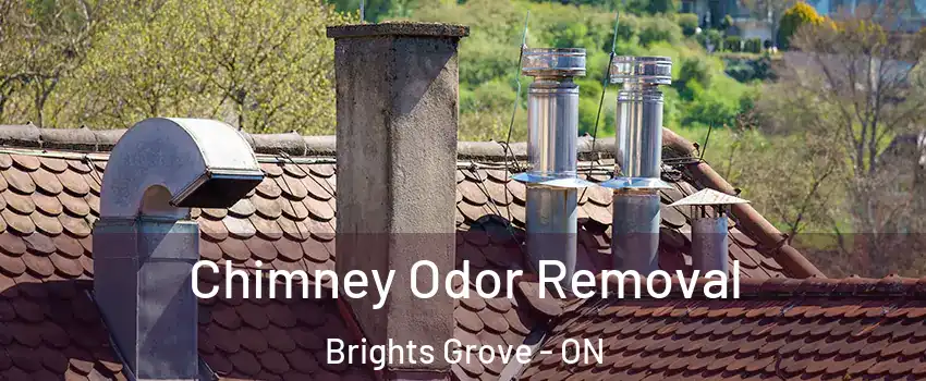  Chimney Odor Removal Brights Grove - ON