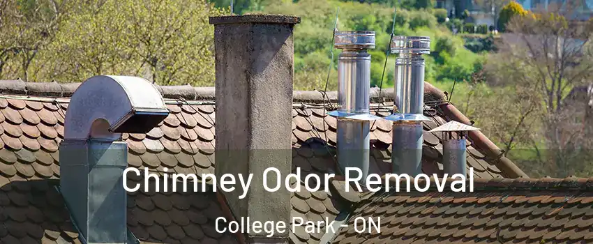  Chimney Odor Removal College Park - ON