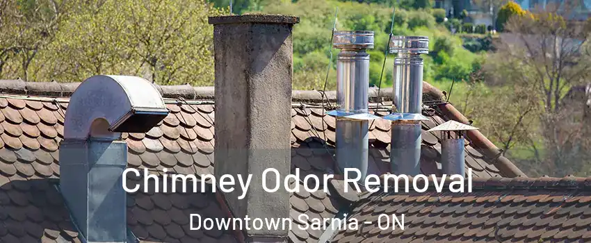  Chimney Odor Removal Downtown Sarnia - ON