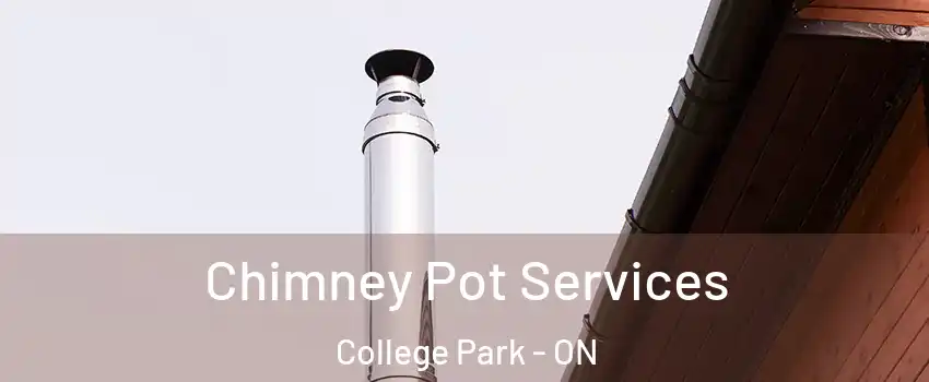  Chimney Pot Services College Park - ON