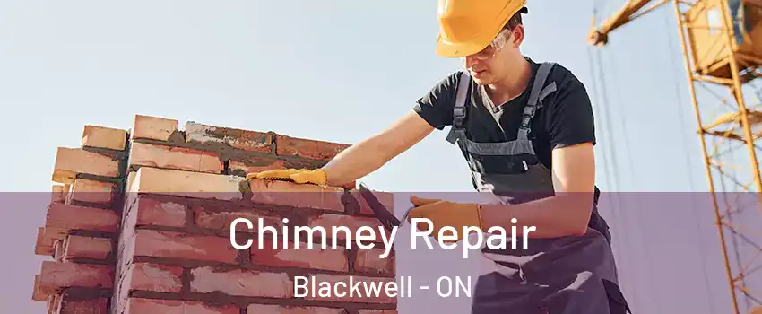  Chimney Repair Blackwell - ON