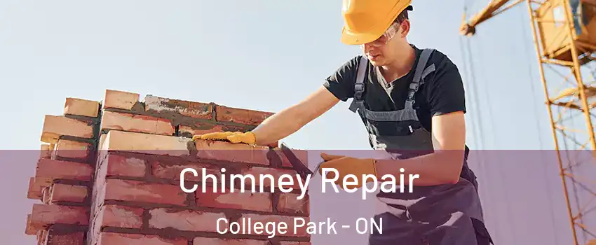  Chimney Repair College Park - ON