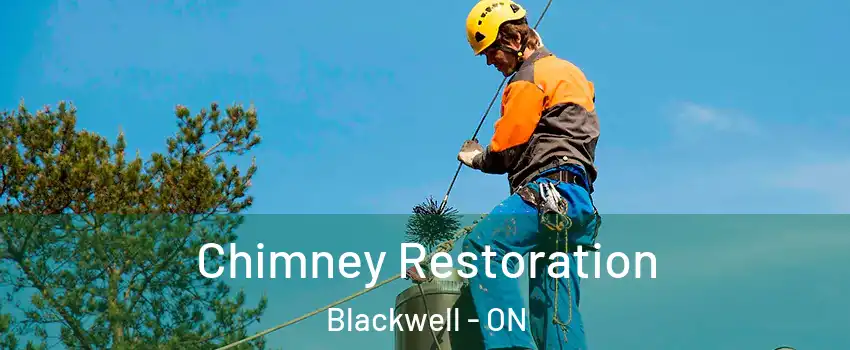  Chimney Restoration Blackwell - ON