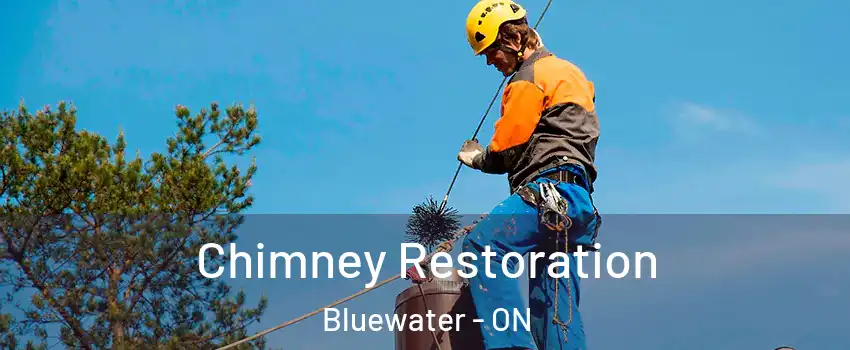  Chimney Restoration Bluewater - ON