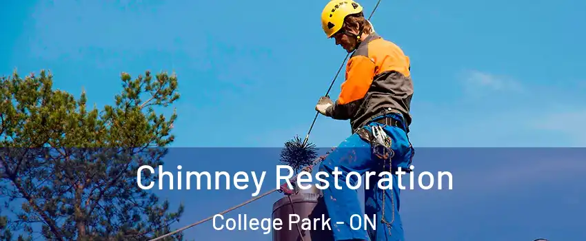  Chimney Restoration College Park - ON