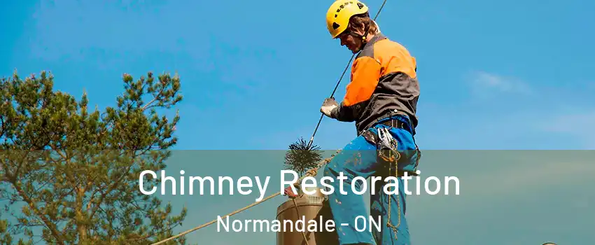  Chimney Restoration Normandale - ON