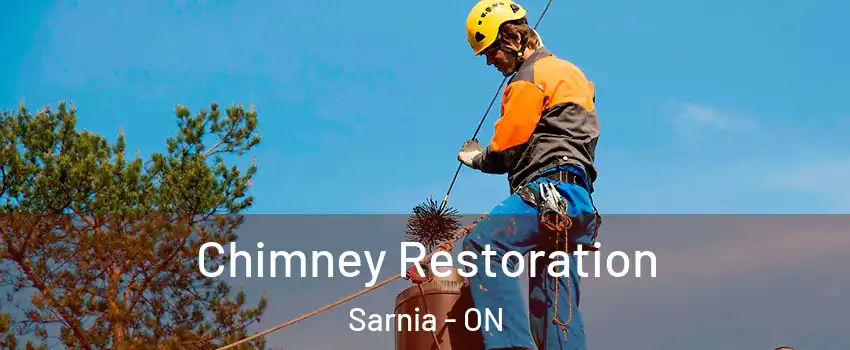  Chimney Restoration Sarnia - ON