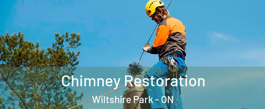  Chimney Restoration Wiltshire Park - ON