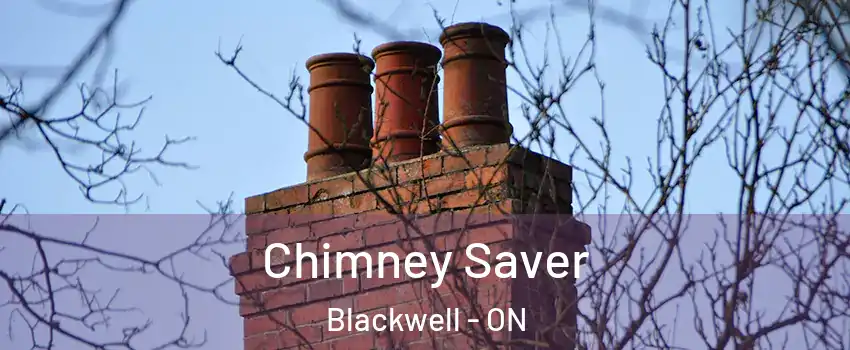  Chimney Saver Blackwell - ON