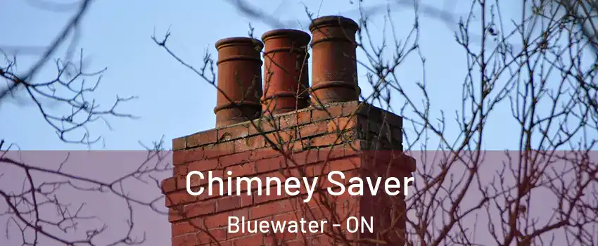  Chimney Saver Bluewater - ON