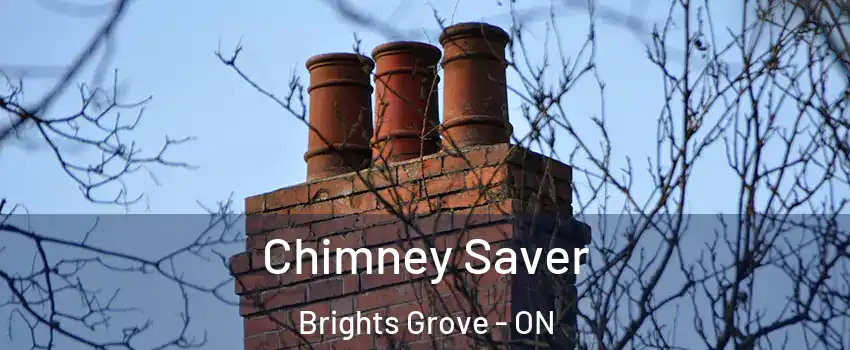  Chimney Saver Brights Grove - ON