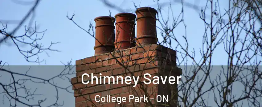  Chimney Saver College Park - ON