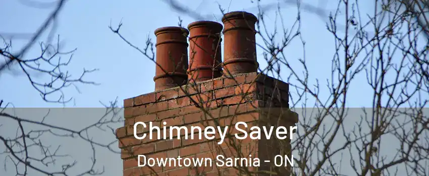  Chimney Saver Downtown Sarnia - ON