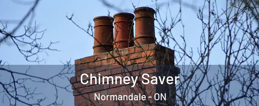  Chimney Saver Normandale - ON