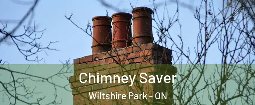  Chimney Saver Wiltshire Park - ON