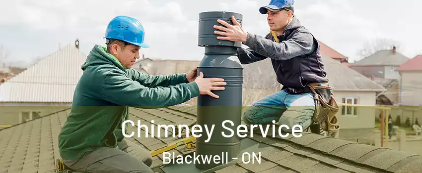  Chimney Service Blackwell - ON