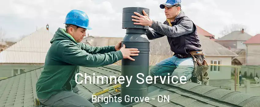  Chimney Service Brights Grove - ON