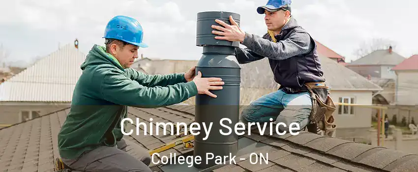 Chimney Service College Park - ON