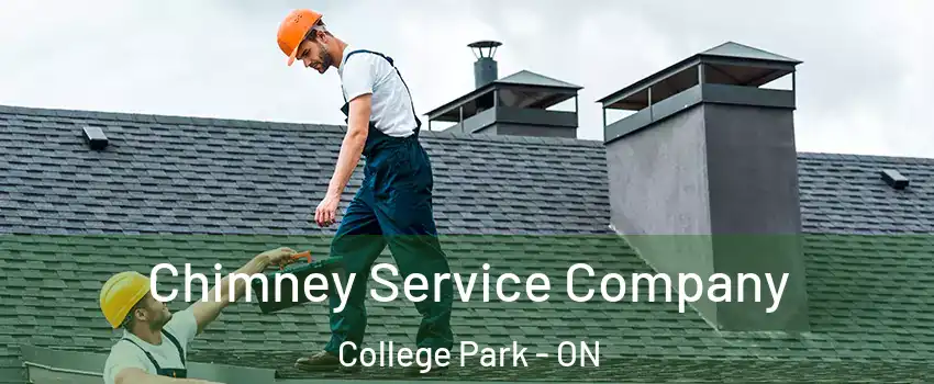  Chimney Service Company College Park - ON