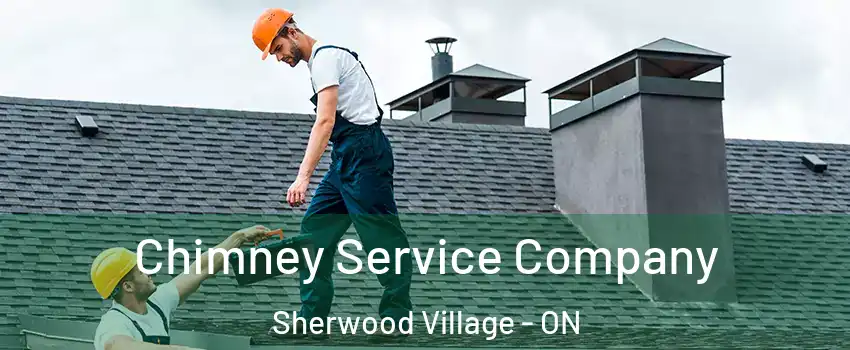  Chimney Service Company Sherwood Village - ON