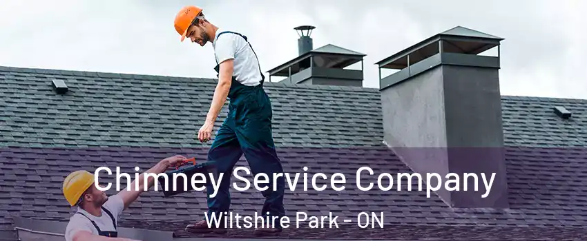  Chimney Service Company Wiltshire Park - ON